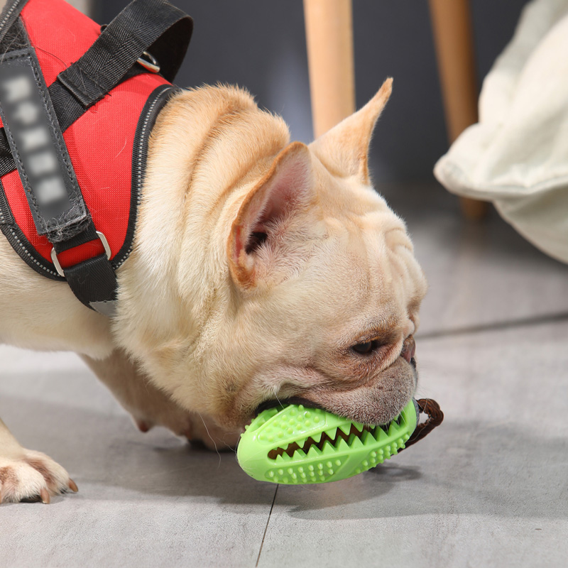 犬のおもちゃ デンタルクリーンラグビー