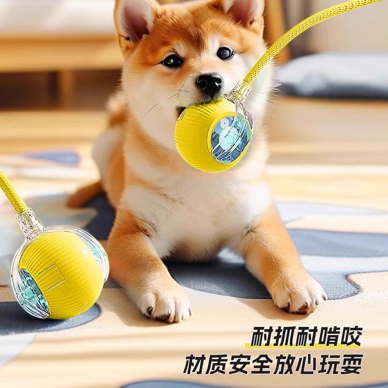 https://fulmo-img-server.com/inu-happy/52819763-eeca-4075-9e52-737a3be4edad.jpg
