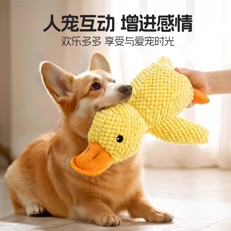 https://fulmo-img-server.com/inu-happy/52f0e343-3f90-41f1-9b25-f78ec0596bcf.jpg