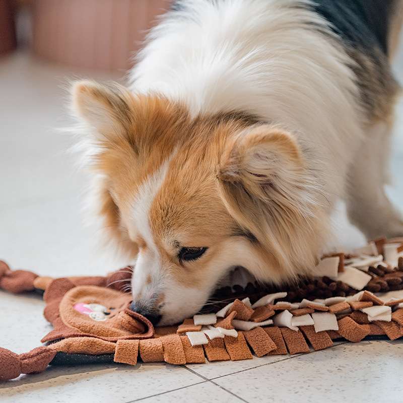 犬のおもちゃ  わんちゃんの鼻遊び嗅覚トレーニングマット