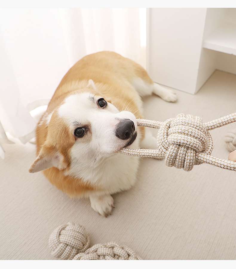 犬のおもちゃ  愛犬用デンタルケア噛みロープセット