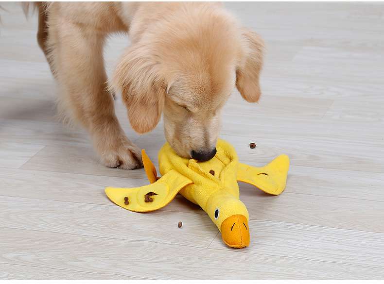 犬のおもちゃ 香り付き知育おさんぽアヒル