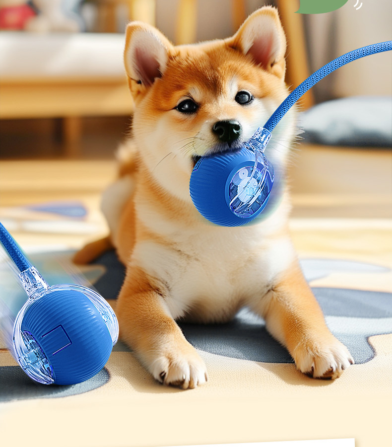 犬のおもちゃ 自動回転ボール知育おもちゃ