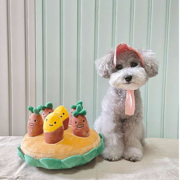 犬のおもちゃ  わんちゃんの野菜畑パズルクッション