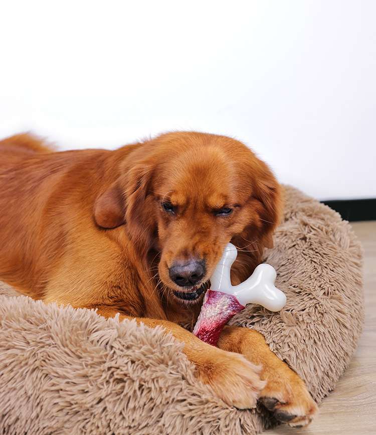 犬のおもちゃ  ワンちゃんの安心おもちゃ骨