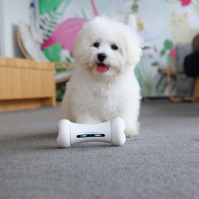 犬のおもちゃ  知能犬用おもちゃボーン