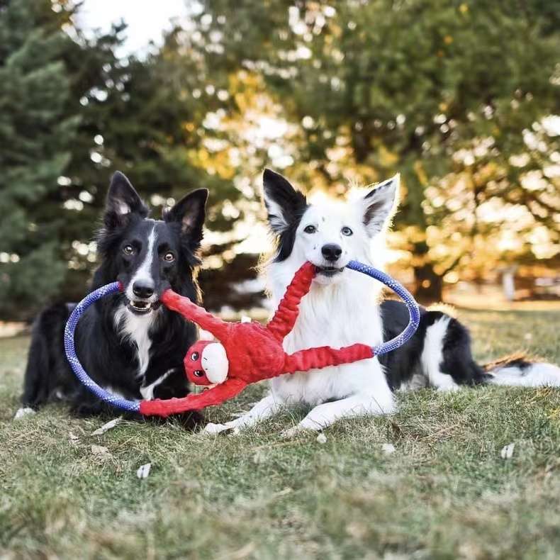 犬のおもちゃ  ワンちゃんのフリスビーロープ