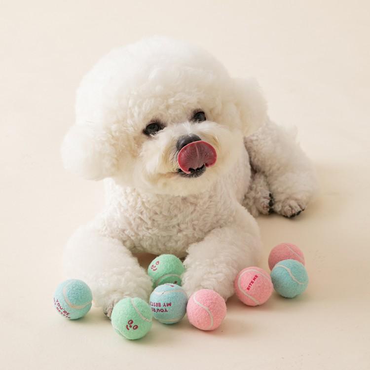 犬のおもちゃ にこにこミニテニスボール