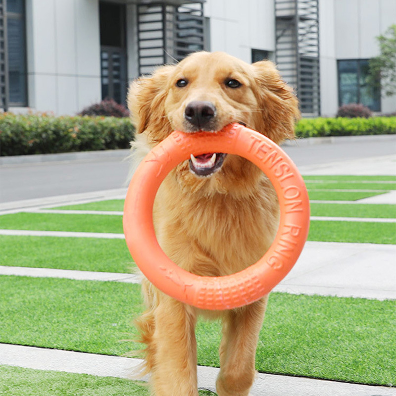 犬のおもちゃ わんわん輪っかトレーナー