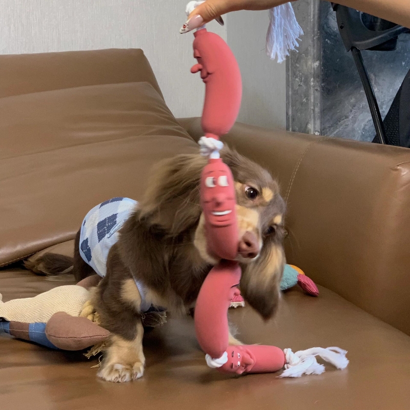 犬のおもちゃ にこにこウインナーロープ