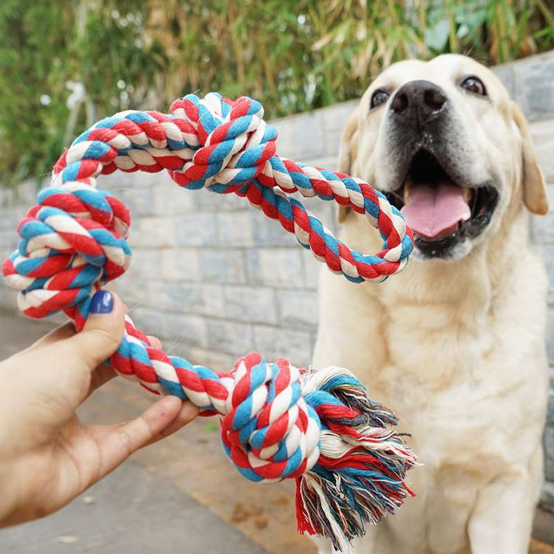 犬のおもちゃ 愛犬とのきずな深まるおもちゃ