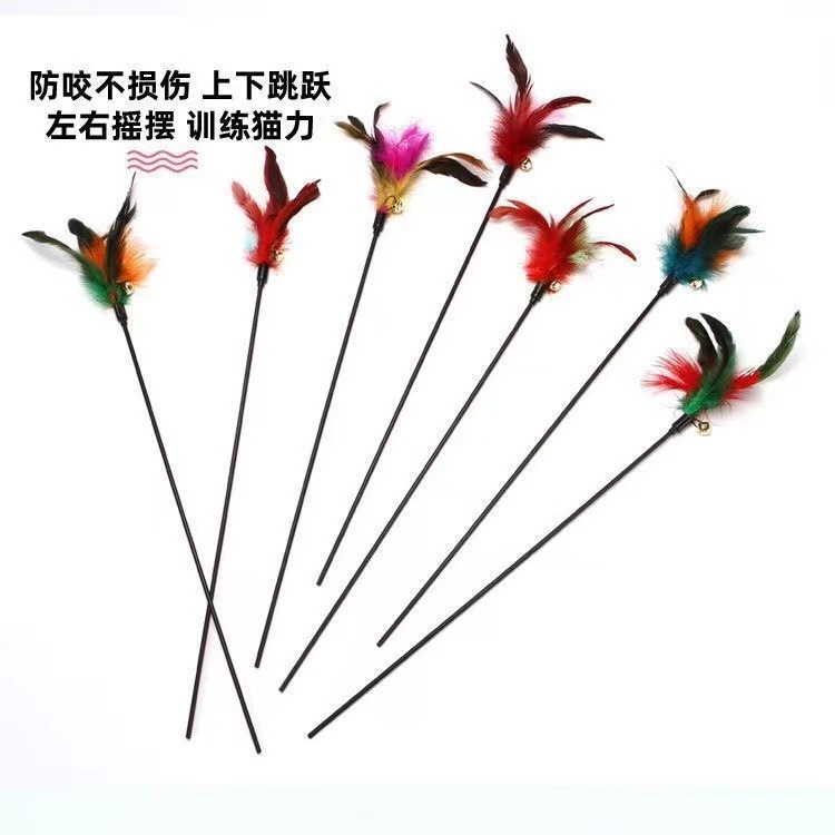 https://fulmo-img-server.com/inu-happy/77cb36e0-76c4-4444-99bb-3cefd274e86a.jpg