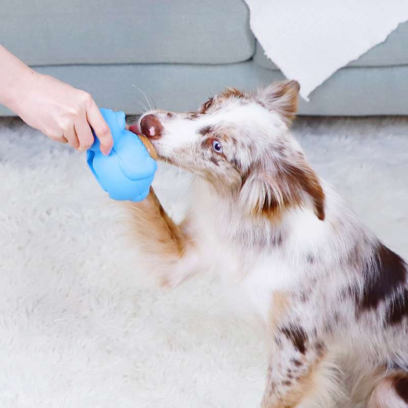 犬のおもちゃ  わんちゃんの知恵袋 おやつ自動提供機