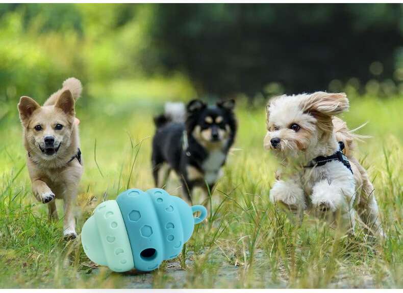 犬のおもちゃ  ペット用多機能知育おもちゃ