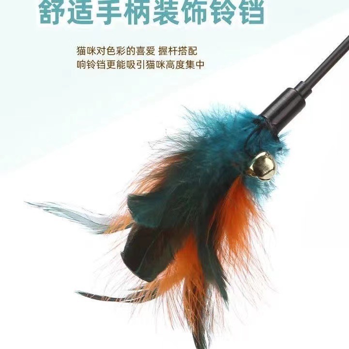 https://fulmo-img-server.com/inu-happy/7cf25c6e-6411-444f-b21d-182d8f32eb84.jpg