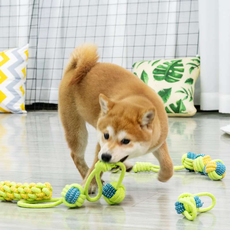 犬 おもちゃ ロープ | 愛犬とのふれあい遊び紐セット