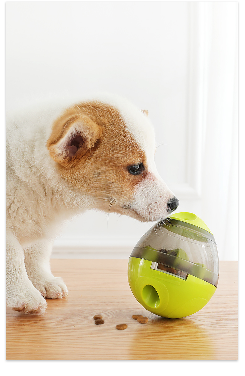 犬のおもちゃ ごきげんたまご 知育フードディスペンサー