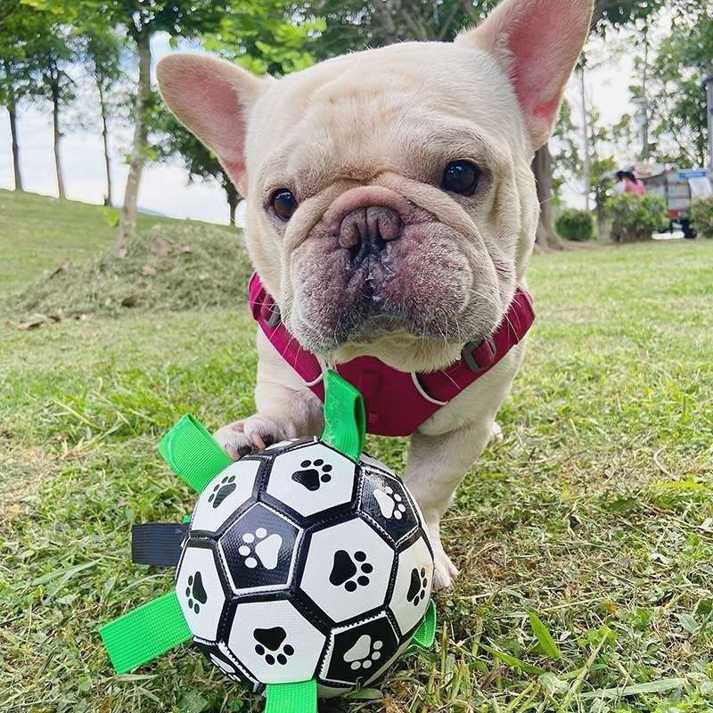 犬 おもちゃ ボール | わんちゃん喜ぶ肉球サッカーボール