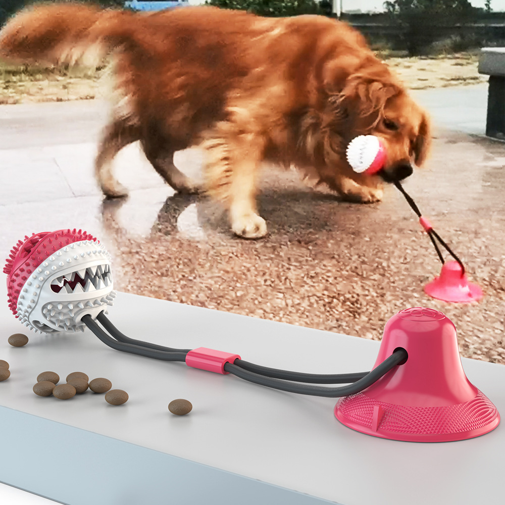 犬のおもちゃ 吸盤式ボール噛みロープ