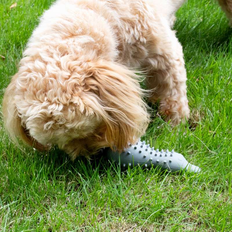 犬のおもちゃ  モグモグ歯磨きおもちゃ