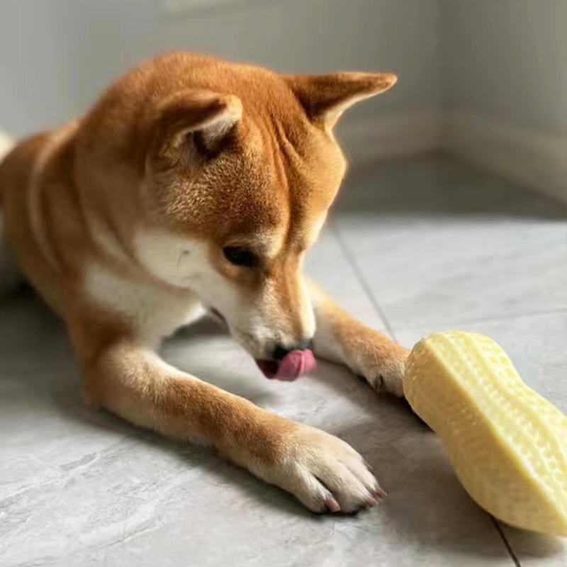犬のおもちゃ まめまめデンタルトイ