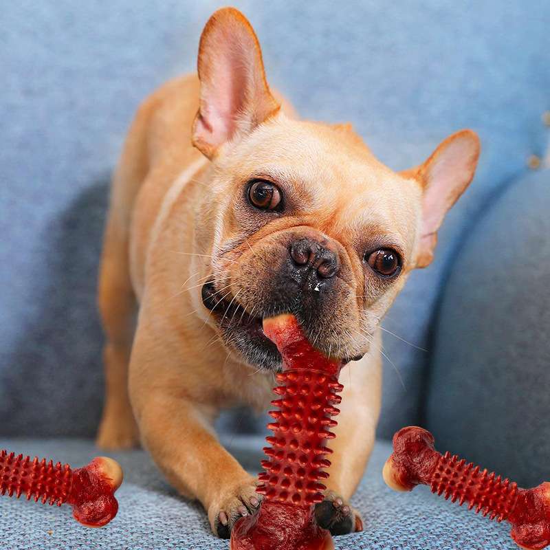 犬のおもちゃ  ゴツゴツ噛みごたえ骨おもちゃ