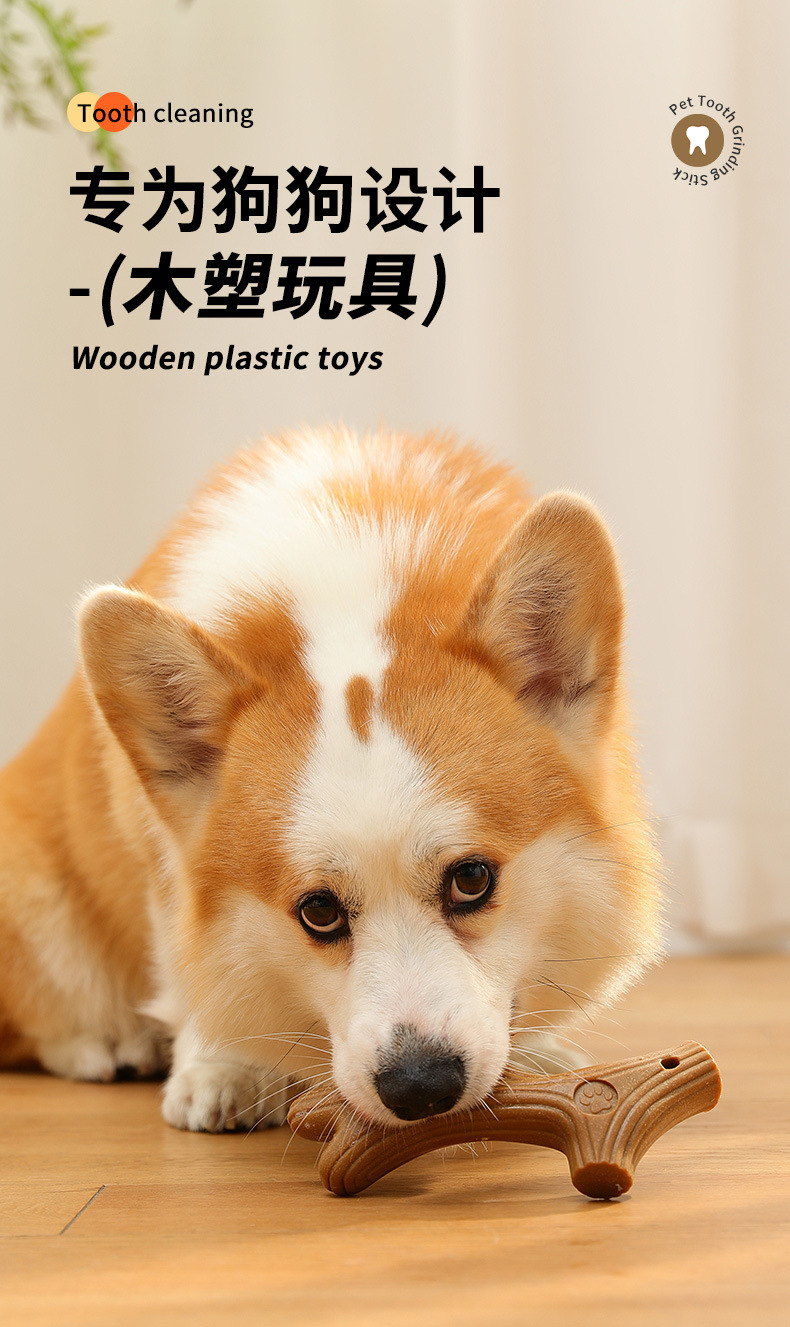 https://fulmo-img-server.com/inu-happy/8bea544e-6af7-46f9-a855-9e347b6d17d9.jpg