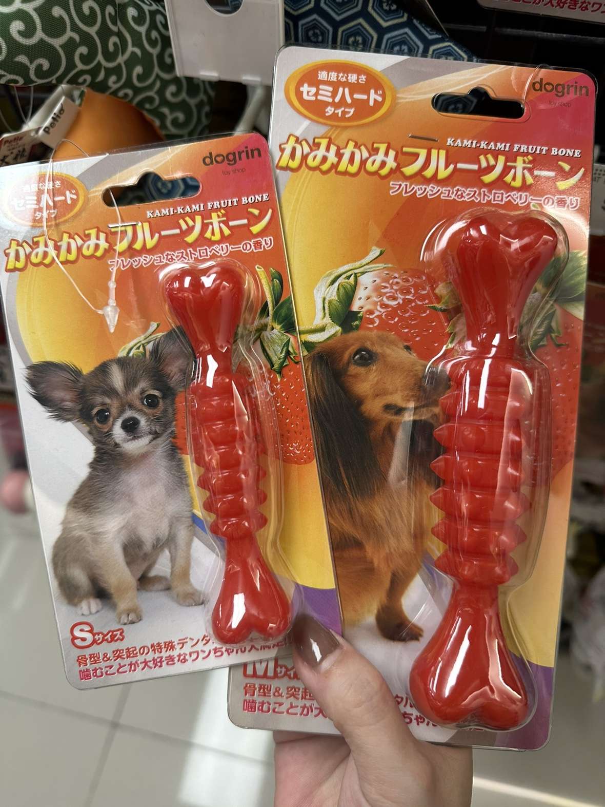 犬がよく噛む！おすすめ骨のおもちゃ5選