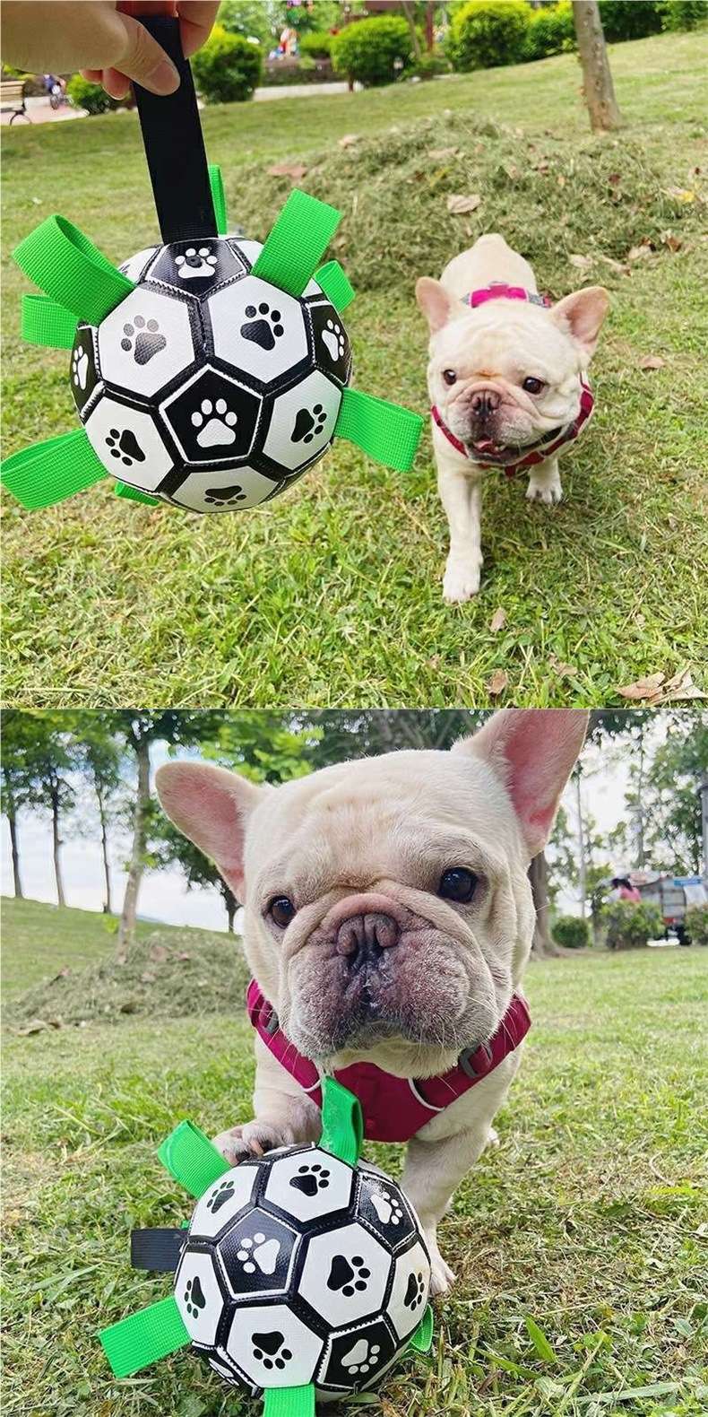 犬 おもちゃ ボール | わんちゃん喜ぶ肉球サッカーボール