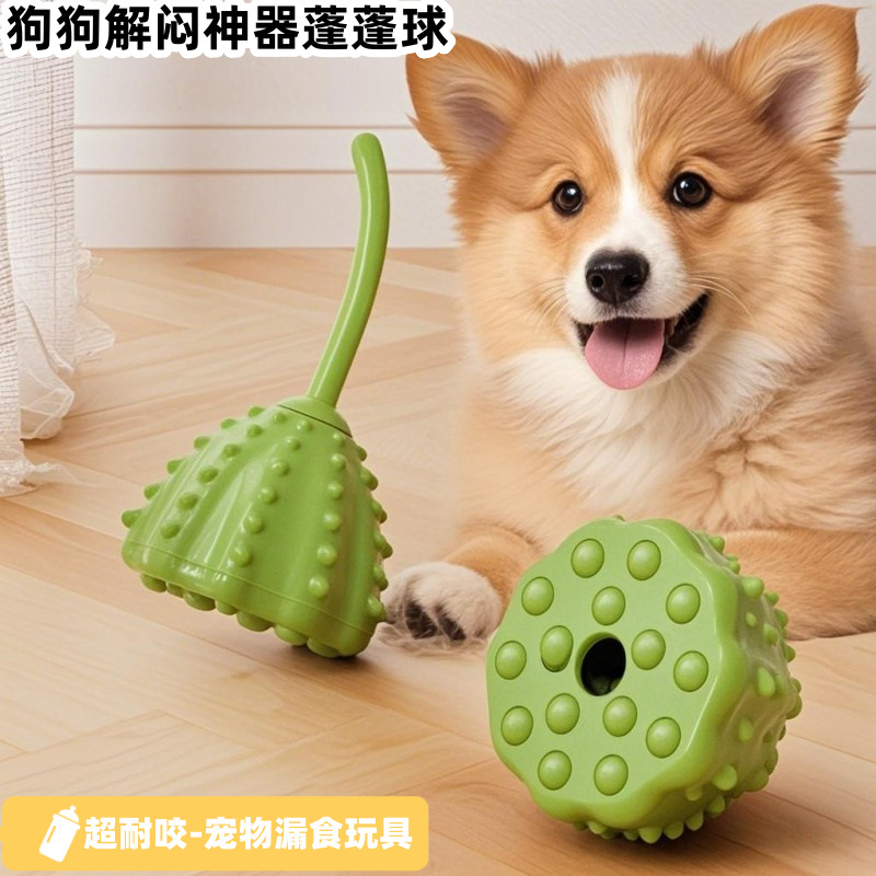 https://fulmo-img-server.com/inu-happy/949ba7c5-f539-4b2d-89bb-c066a82803d2.jpg