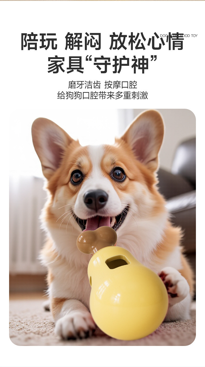 https://fulmo-img-server.com/inu-happy/96bd4168-12a9-4c22-a466-90de22c89815.jpg