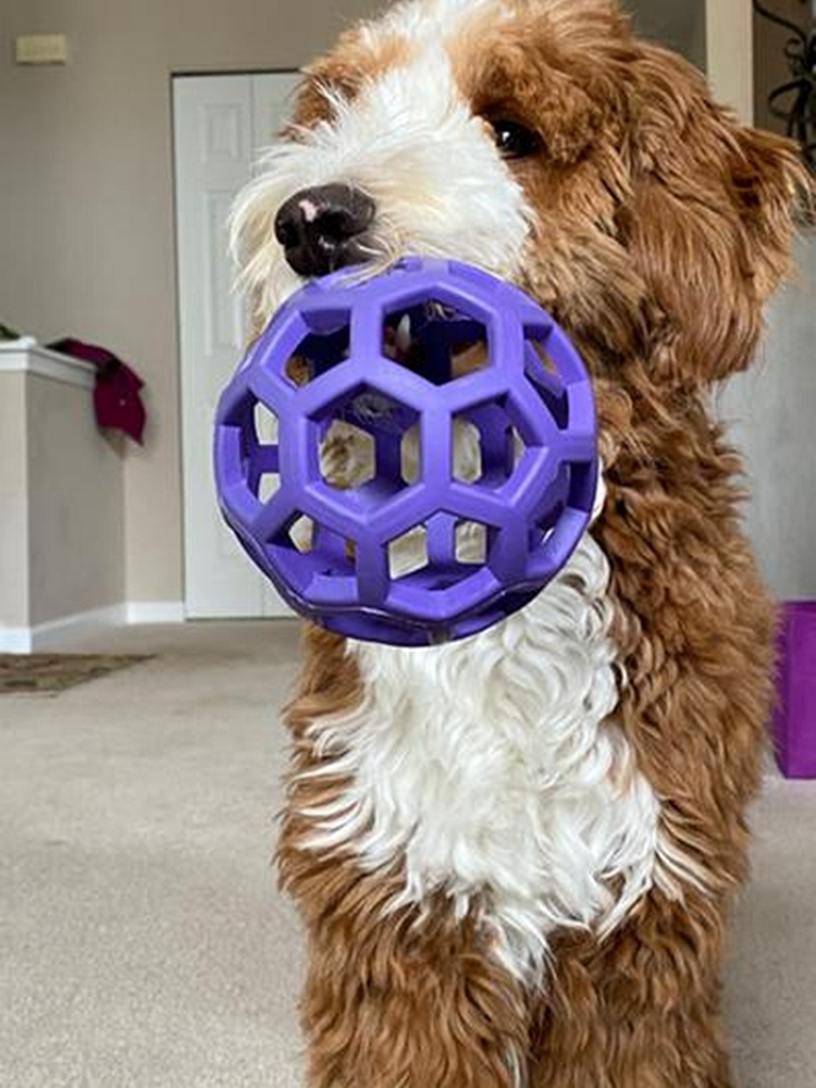 犬のおもちゃ 犬のおもちゃ 六角網目ボール