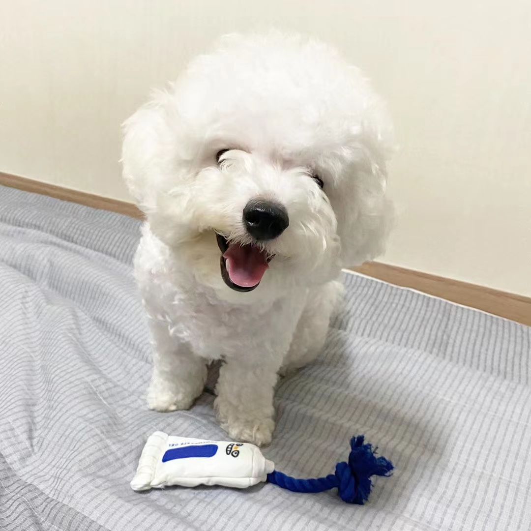 犬のおもちゃ にこにこ歯磨きロープトイ