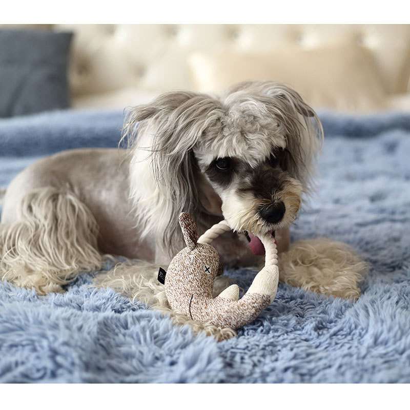 犬のおもちゃ もふもふ動物園ぬいぐるみセット