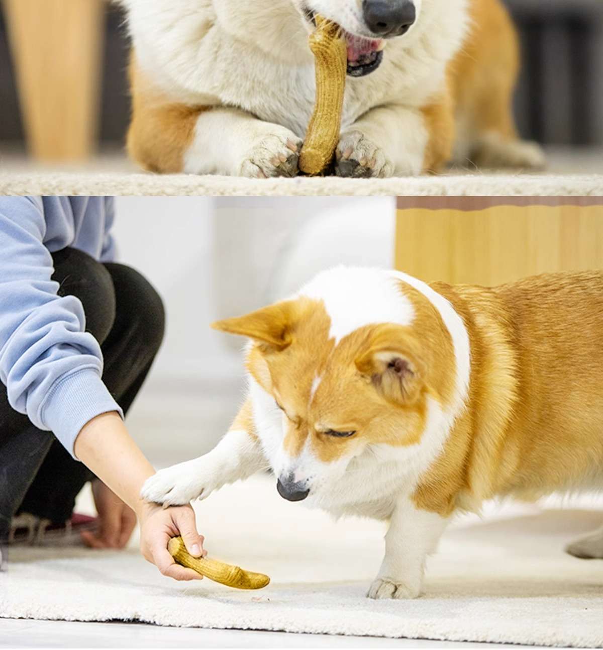 犬のおもちゃ  愛犬用 天然松の香り歯磨きおもちゃ