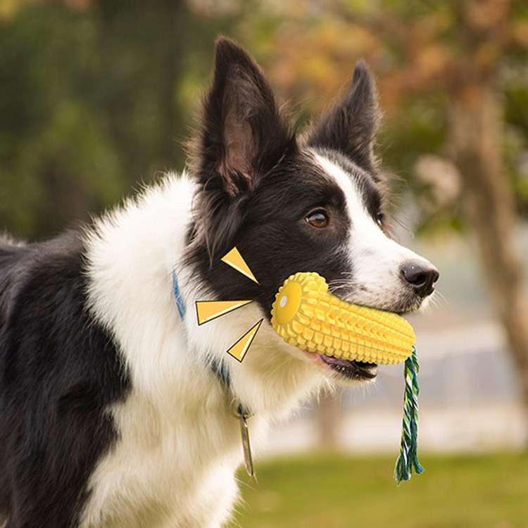 犬のおもちゃ  わんちゃんの歯磨きトウモロコシ