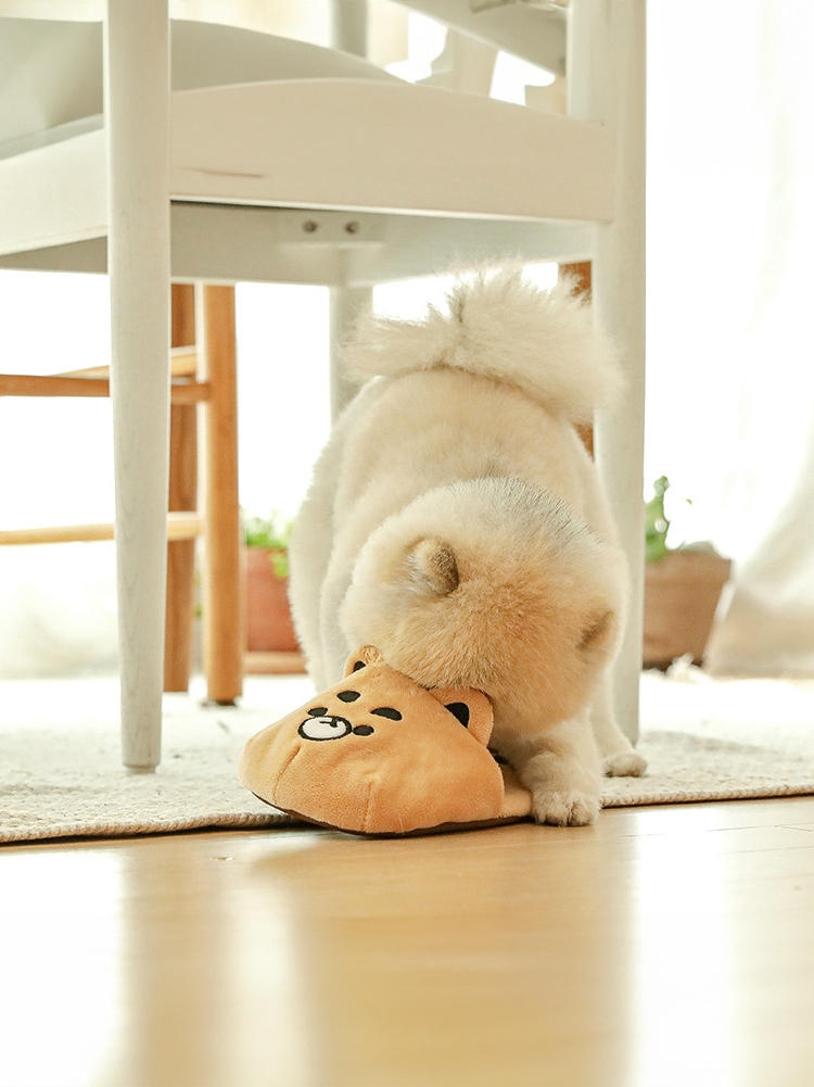 犬のおもちゃ ころんとくまさんぬいぐるみ