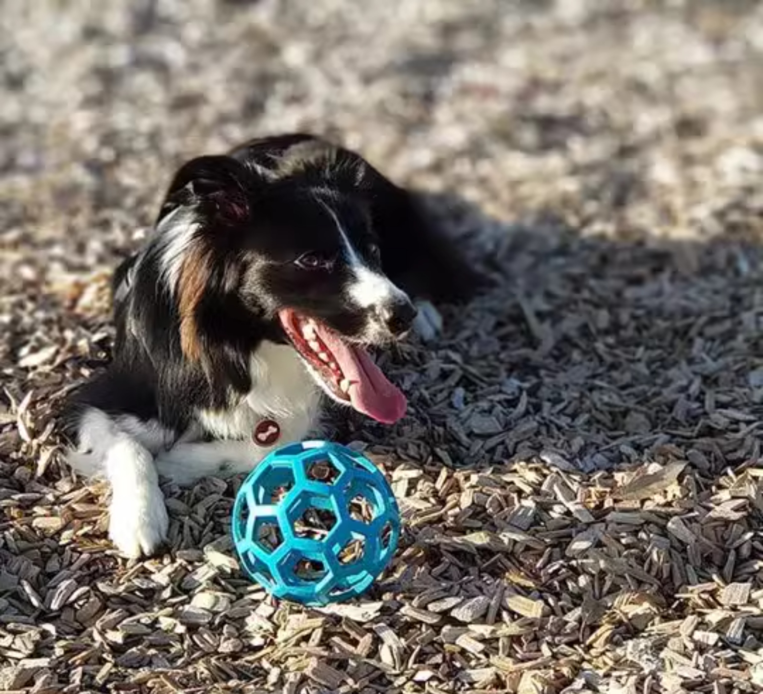 犬のおもちゃ 犬のおもちゃ 六角網目ボール