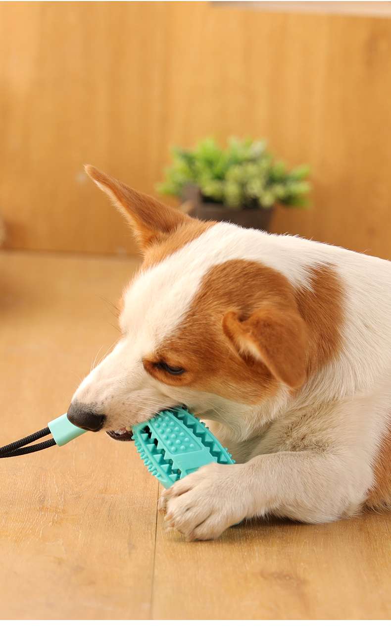 犬のおもちゃ デンタルクリーン 秒変漏食ボール