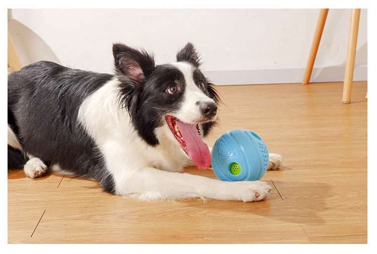 犬のおもちゃ  知育ペット噛むおもちゃボール