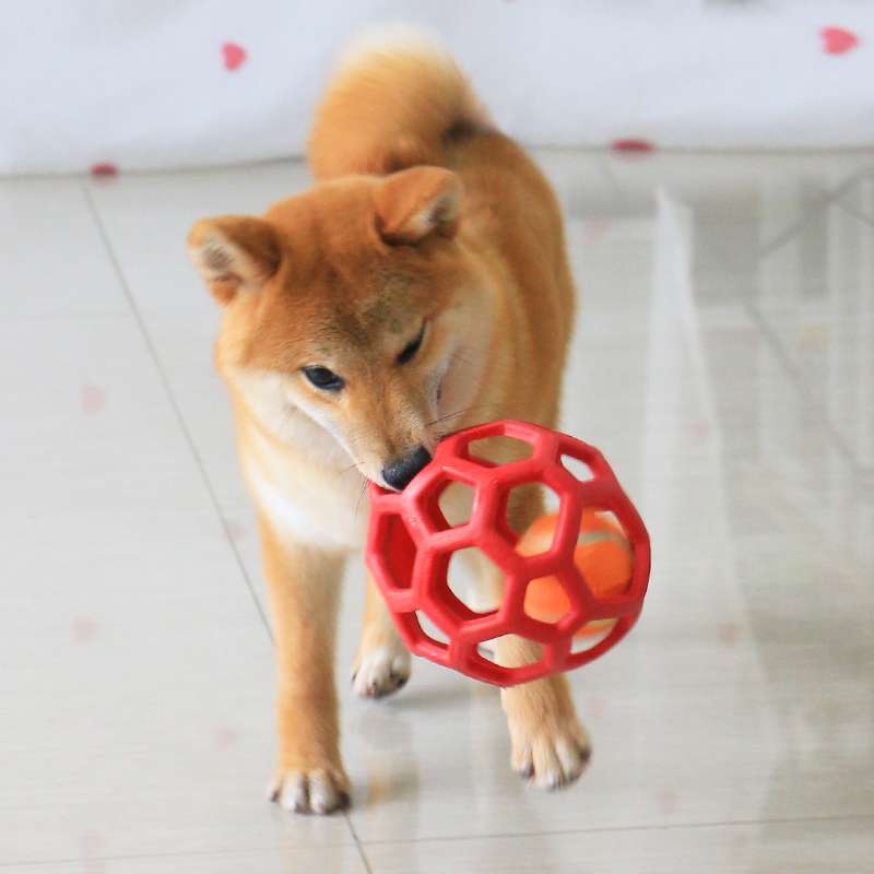 犬のおもちゃ  多面体ホーローボール