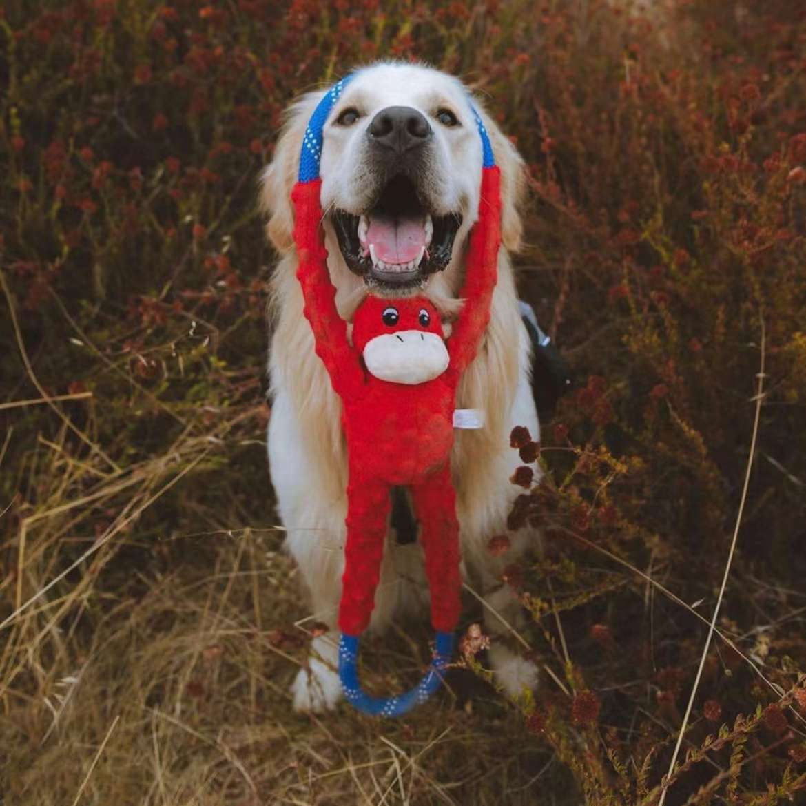 犬のおもちゃ  ワンちゃんのフリスビーロープ