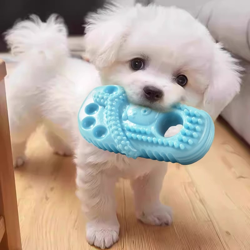 犬のおもちゃ 愛犬用歯磨きぽこぽこスリッパ型おもちゃ