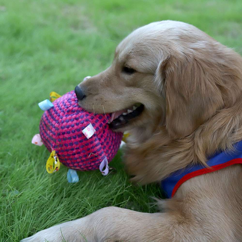 犬 おもちゃ ボール | もこもこタグ付きペット遊びボール