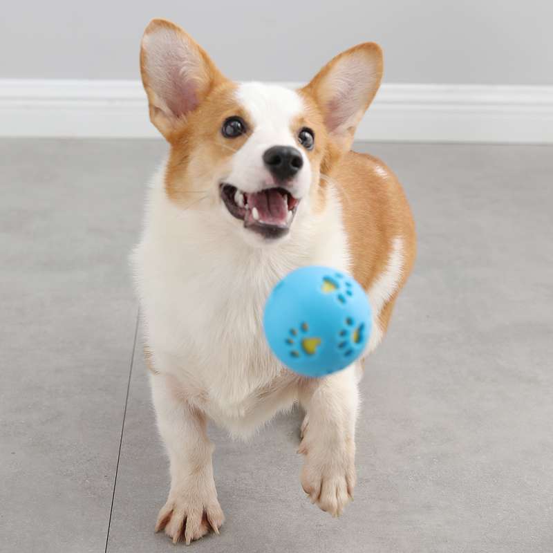 犬のおもちゃ  わんちゃん大喜び！噛み心地抜群ゴムボール