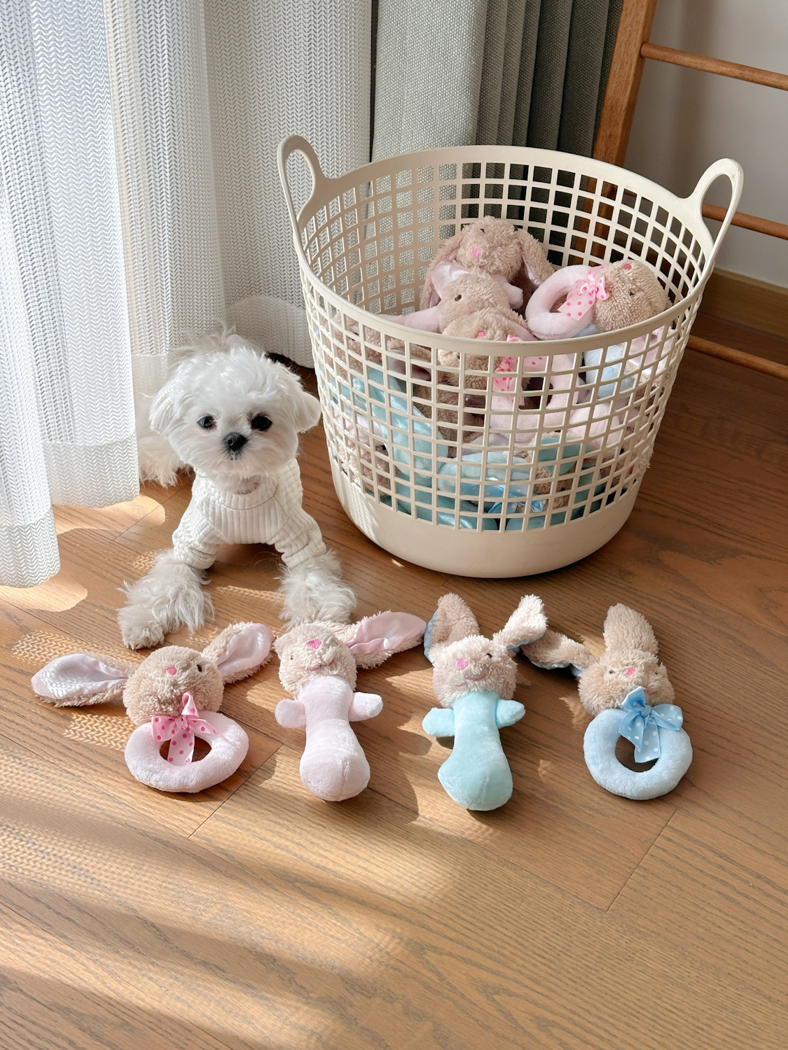 犬のおもちゃ うさぎさん抱っこラトル