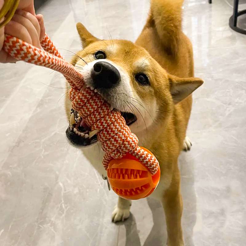 犬 おもちゃ ロープ | 飼い主とワンちゃんの絆ロープ