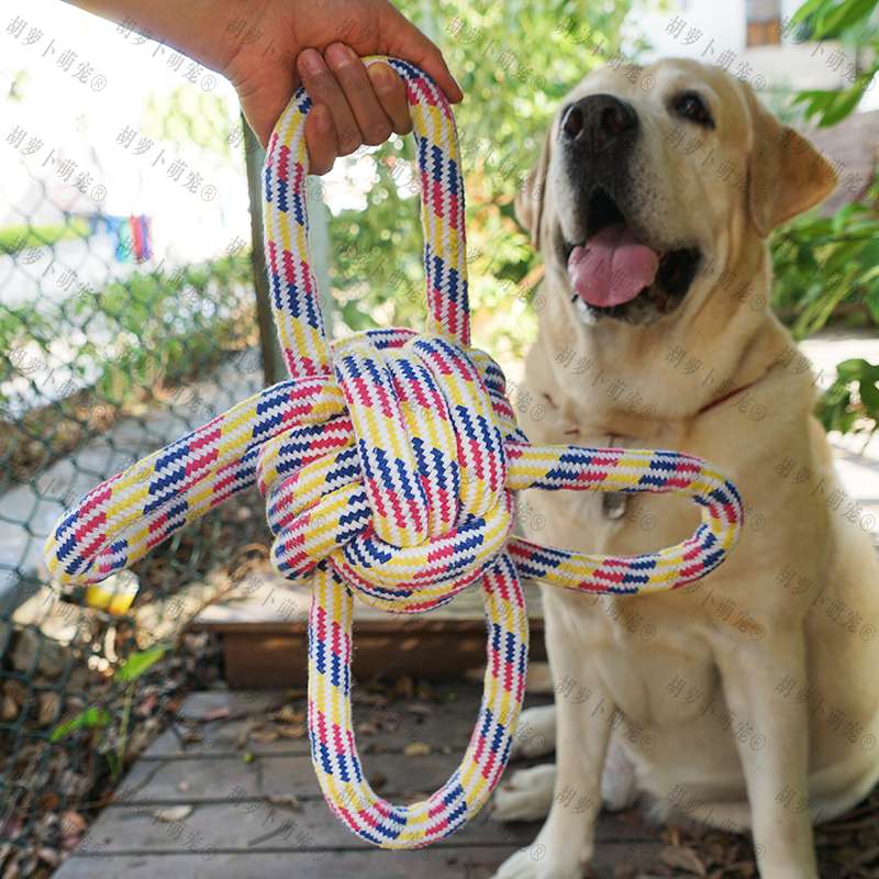 犬のおもちゃ  愛犬とのふれあい結び目ロープ