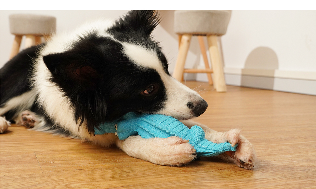 犬のおもちゃ わくわくワニさん歯ごたえトイ