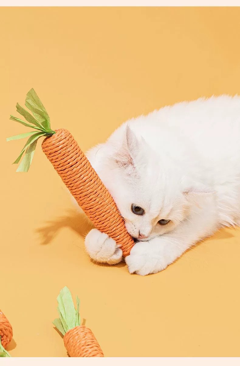 https://fulmo-img-server.com/inu-happy/c8441cb9-e7c4-479f-abe4-ca1a40994d06.jpg